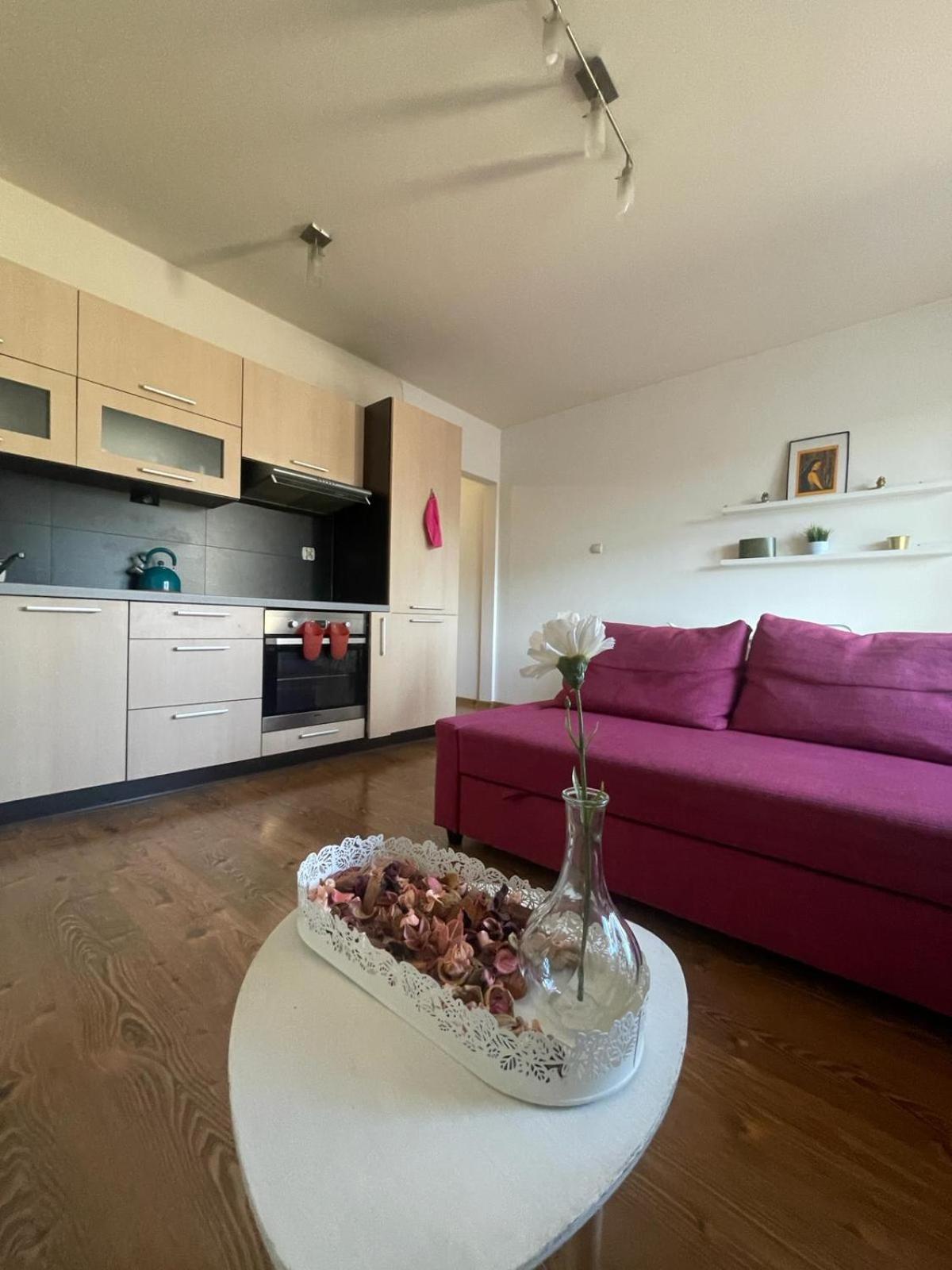 Przystan Dolnych Mlynow Apartment Красков Екстериор снимка